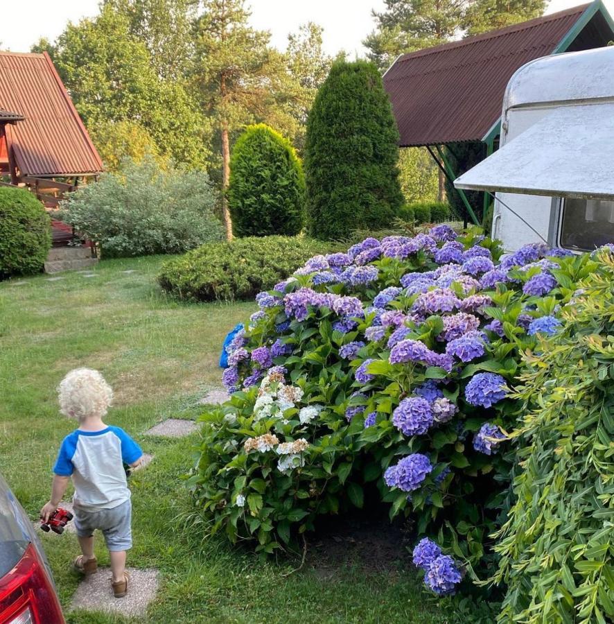 Villa Domek Matylda- Kaszuby à Nowe Czaple  Extérieur photo