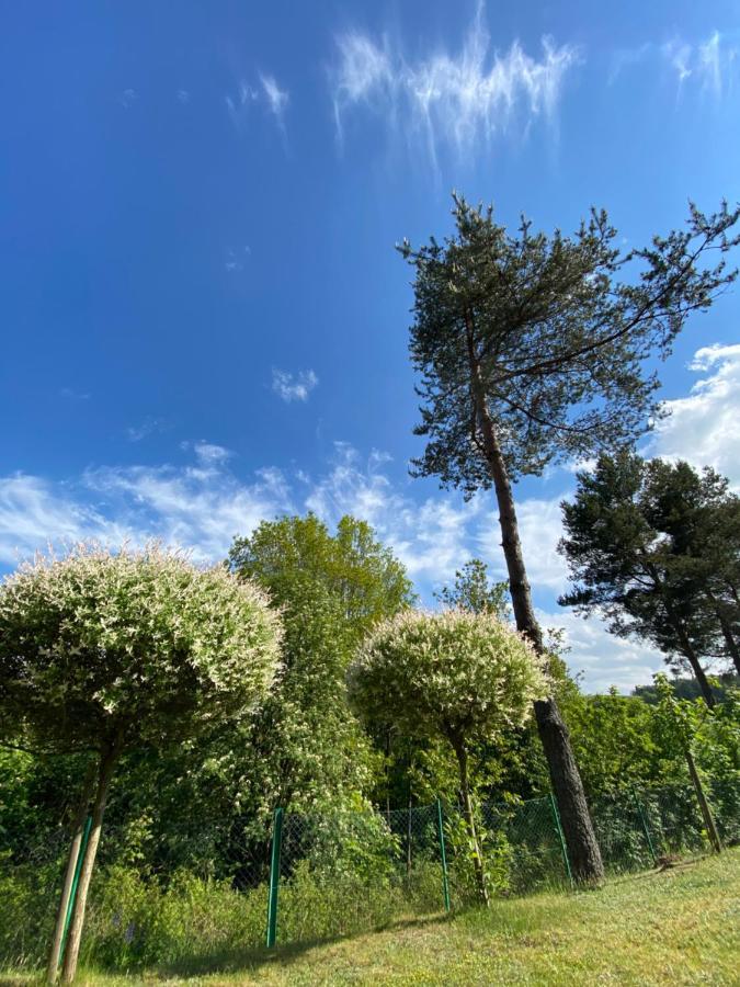 Villa Domek Matylda- Kaszuby à Nowe Czaple  Extérieur photo